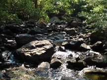 Bhagwan Mahavir Sanctuary